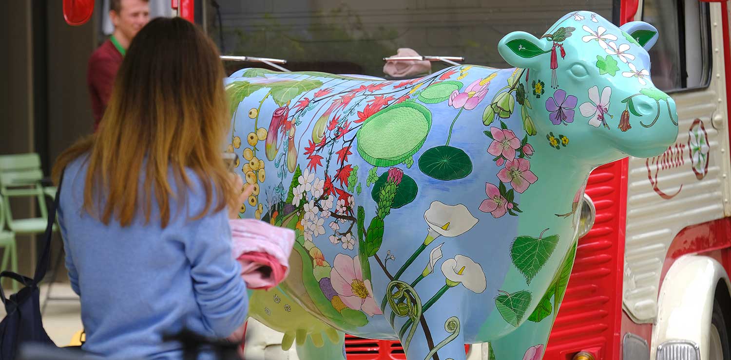 cows-about-cambridge-botanicow